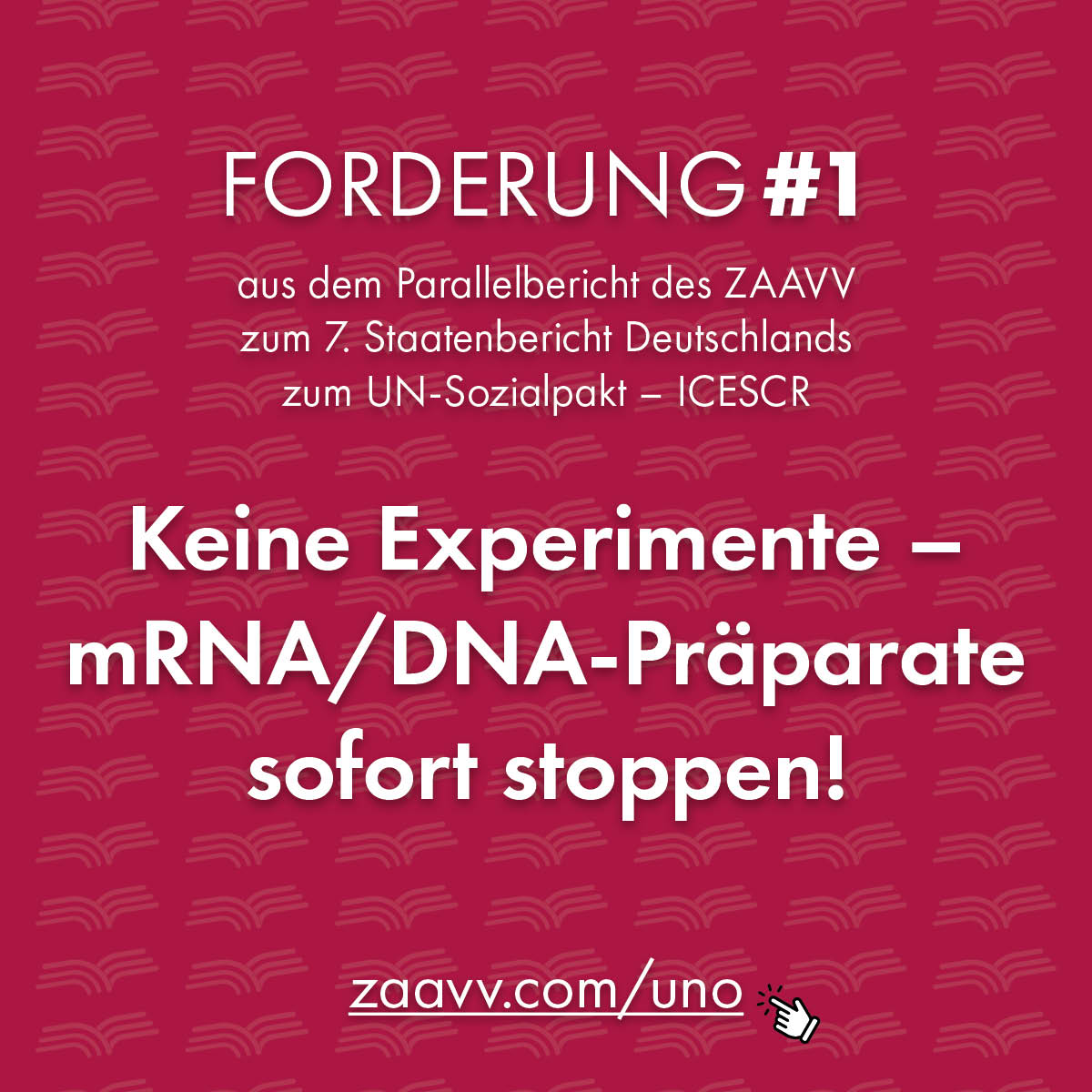ZAAVV Forderungen aus dem Parallelbericht UNO