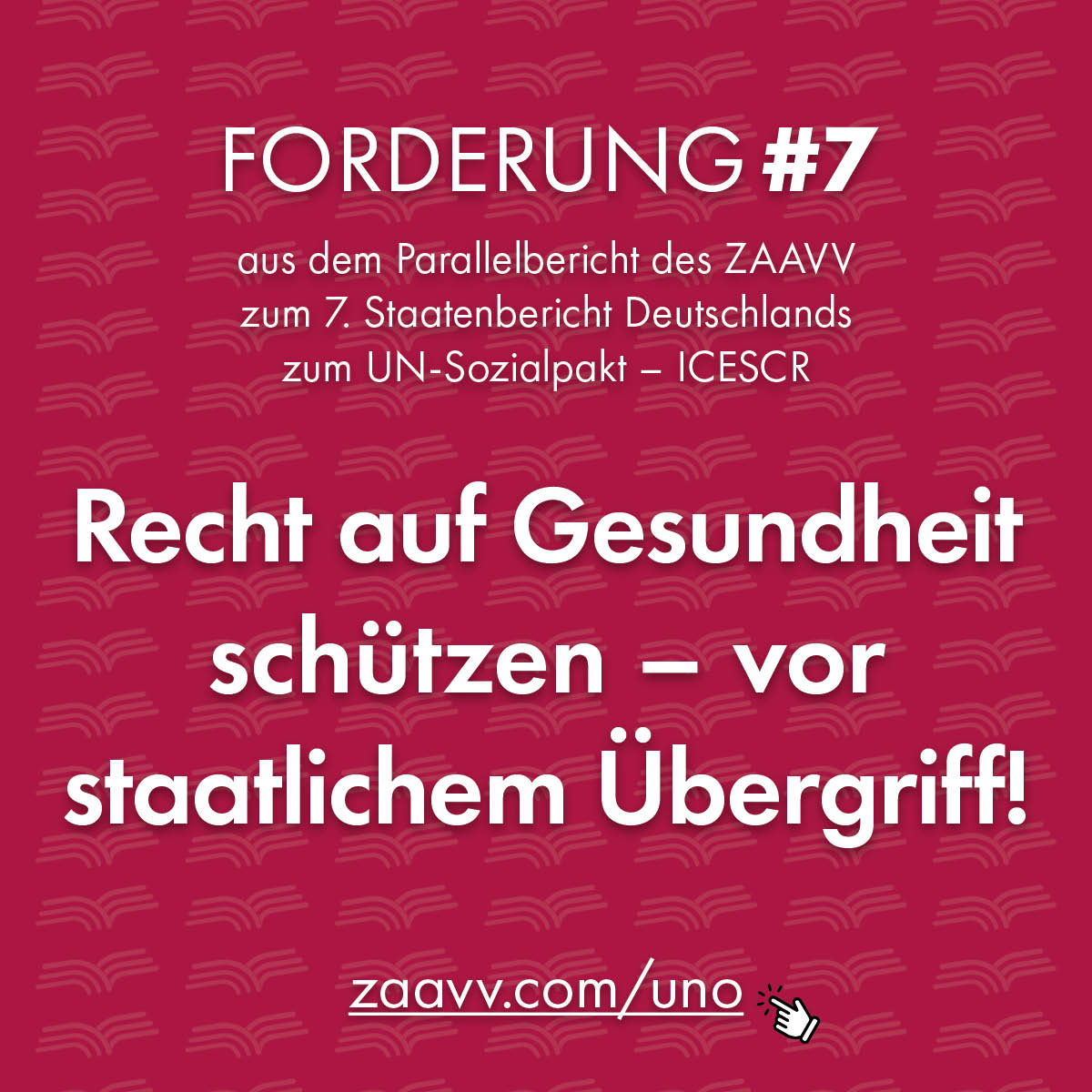 ZAAVV Forderungen aus dem Parallelbericht UNO