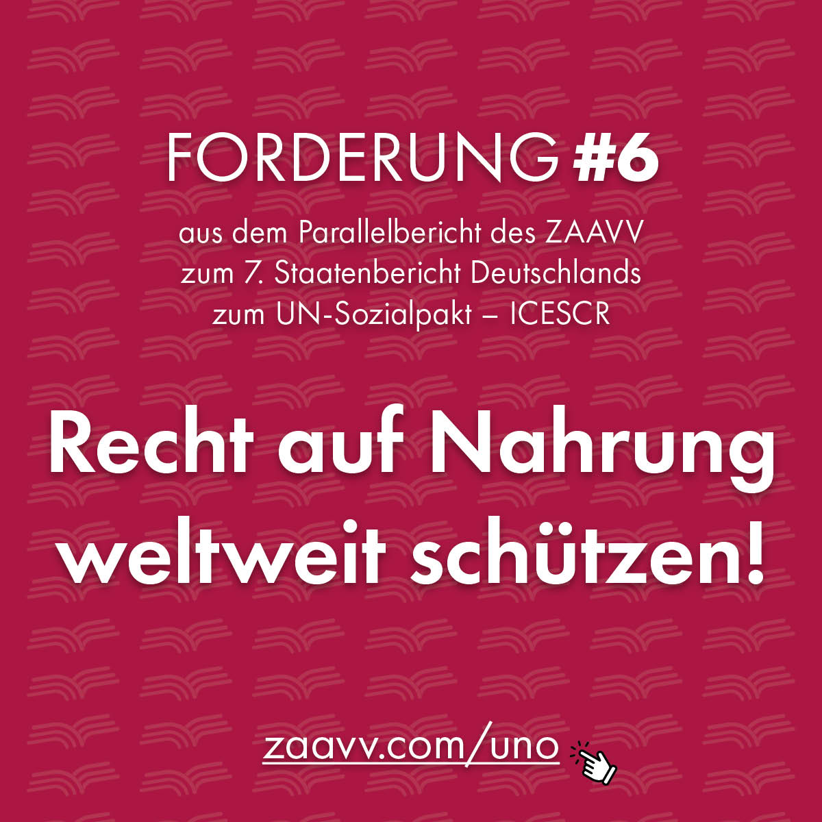 ZAAVV Forderungen aus dem Parallelbericht UNO