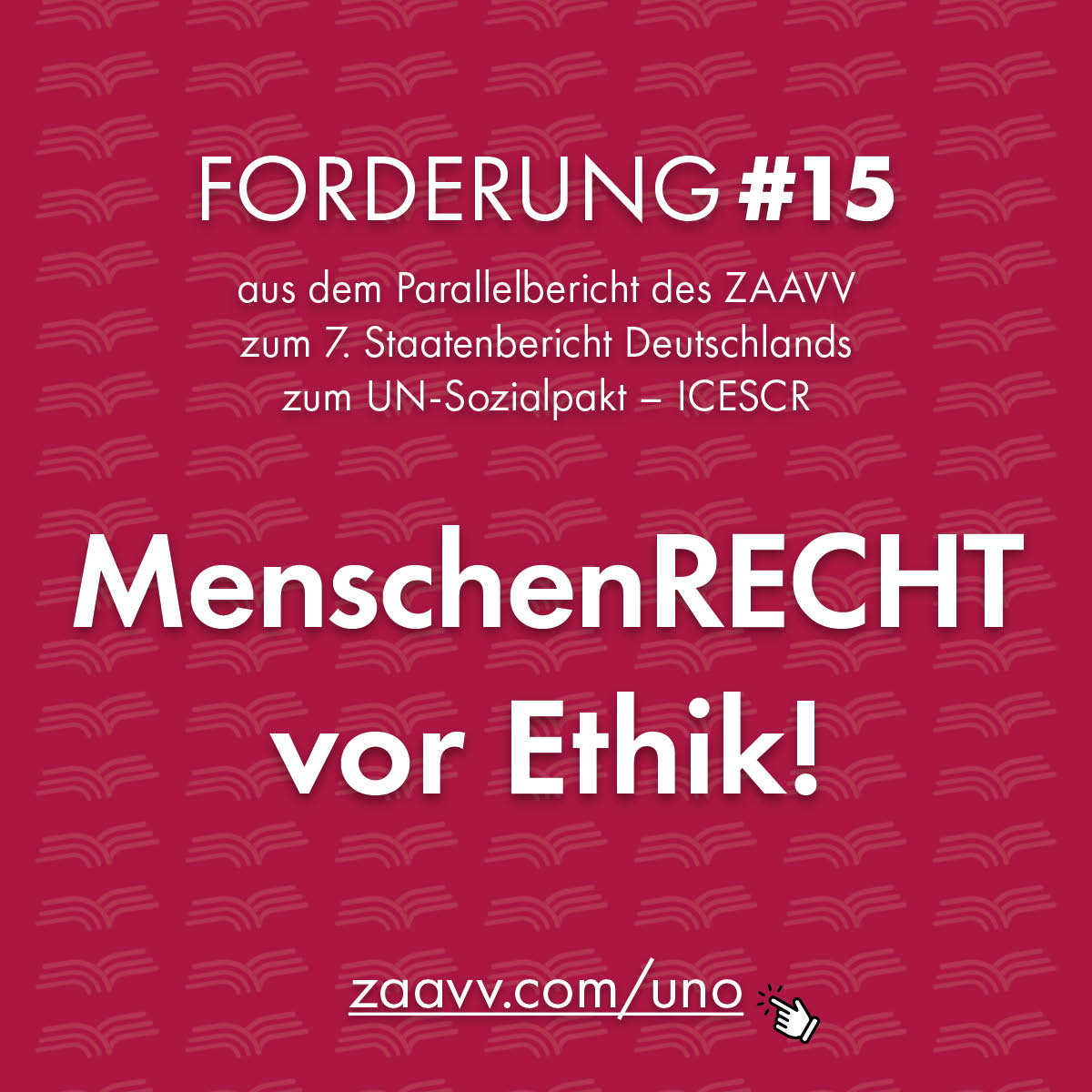 ZAAVV Forderungen aus dem Parallelbericht UNO